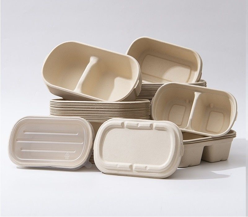 100% Compostable Food Container